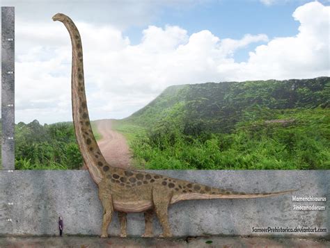 Mamenchisaurus Sinocanadorum By Sameerprehistorica On Deviantart
