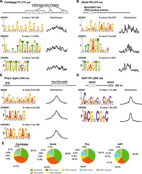 dna binding motifs and whole genome localization of combgap zeste download scientific diagram