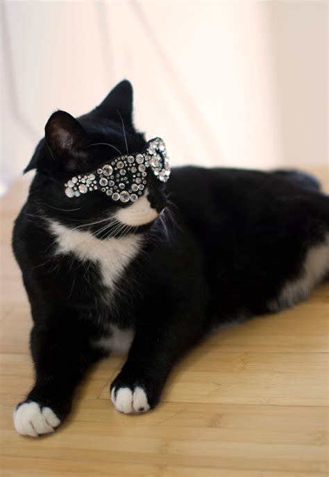 Items Similar To Bling Glasses For Cats On Etsy