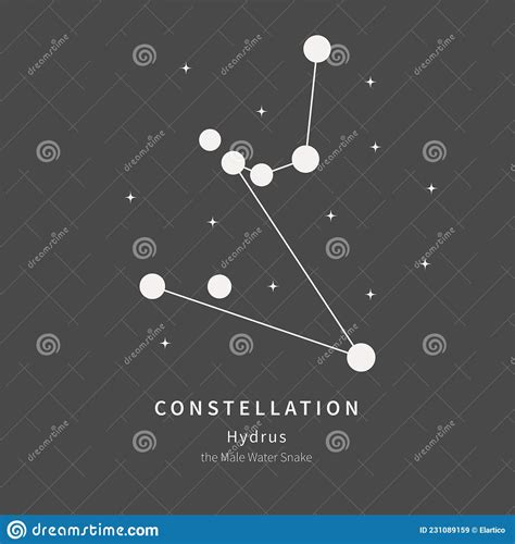 The Constellation Of Hydrus The Male Water Snake Linear Icon Vector