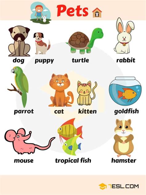 Learn Animal Names In English Eslbuzz Learning English Aulas De