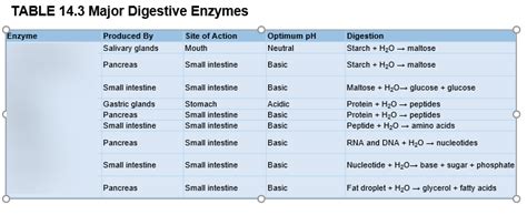 Major Digestive Enzymes Diagram Ch14 Inquiry Into Life Diagram Quizlet