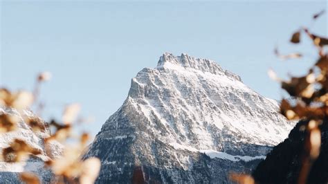Download Wallpaper 1366x768 Mountain Peak Snowy Branch Landscape