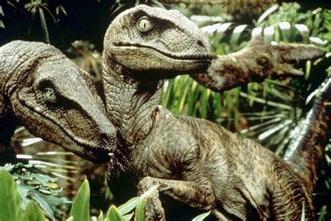 Raptor Noises In ‘jurassic Park Were Made From The Sounds Of Tortoises