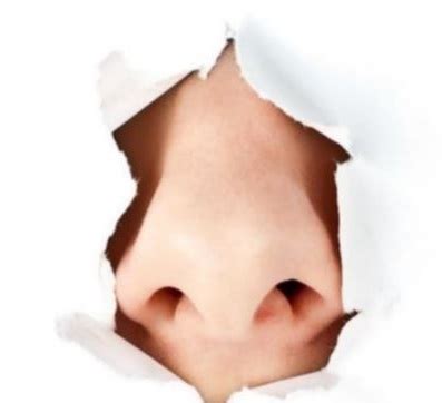 If you experience a loss of smell that you can't attribute to a cold or allergy or if nasal congestion from a cold or allergy is the cause of anosmia, treatment is usually not needed, and. Anosmia -Síntomas, Causas y Tratamiento Para Esta Enfermedad-