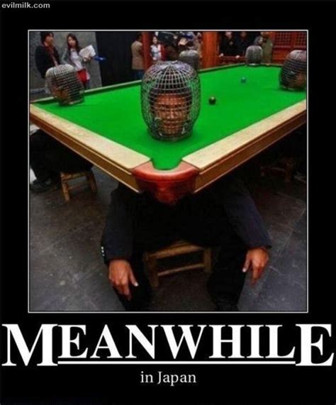 Pin By Mark On Japan Billiards Funny Pictures Pool Table