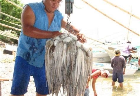 Inicia Temporada De Pesca De Pulpo Van Por 12000 Toneladas Grupo Sipse