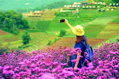 60 fun things to do in chiang mai for a memorable trip tourscanner