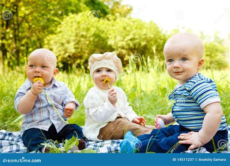 Babies In Park Stock Image Image Of Friends Human Laughing 14511237