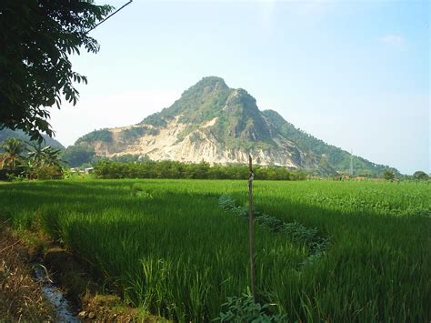 Gambar pemandangan gunung berlapis salju gambar pemandangan danau dan pegunungan pemandangan tetap terasa enak untuk dipandang gambar tersebut merupakan gambar. Wallpaper Pemandangan Sawah Dan Gunung | Stok Wallpaper