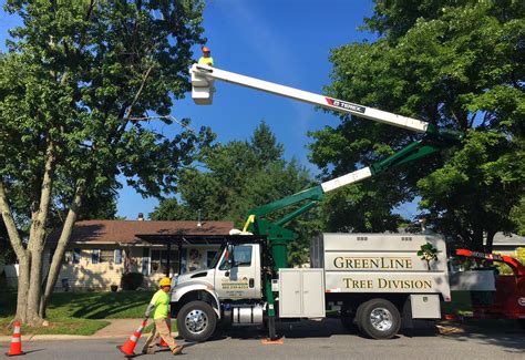 Tree Services Greenline Lawn And Landscape