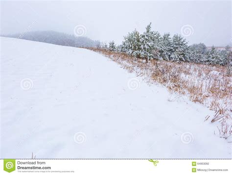 Winter Field Under Cloudy Gray Sky Stock Photo Image Of Horizon