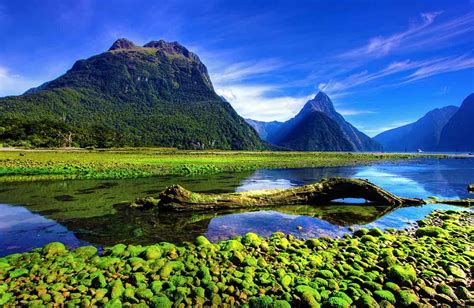 Best Time To Visit New Zealand New Zealand Walking Tours