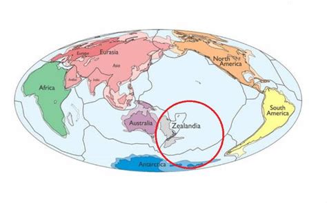 Zealandia All You Need To Know About The 8th Continent We Didnt Know