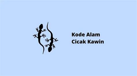 cicak kawin
