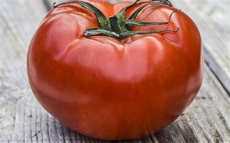 Dream Meaning Of Tomatoes Dream Interpretation