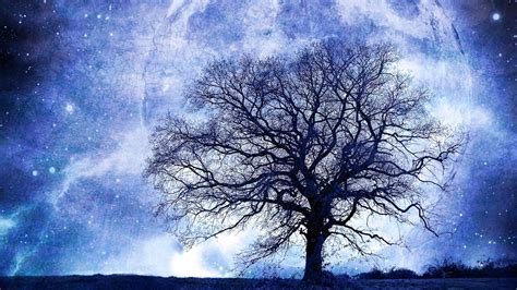 Moon And Tree Wallpapers Top Free Moon And Tree Backgrounds