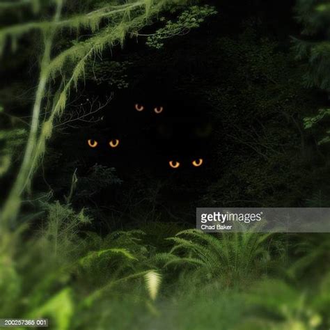 Creepy Glowing Eyes Photos And Premium High Res Pictures Getty Images