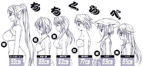 Anime Bust Size Chart Please Only Image Link Bust Charts Where The