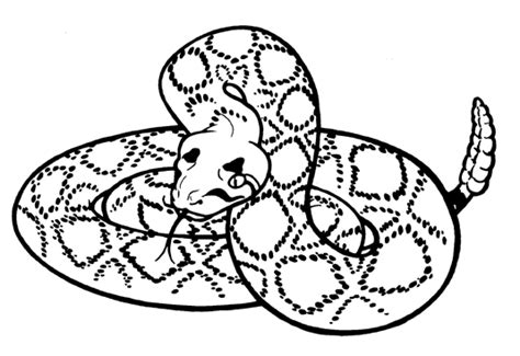 Snake Line Drawing At Getdrawings Free Download