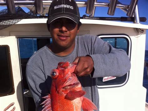 Ensenada 1-14-16 - Yellowtail, reds and bonito Fishing ...