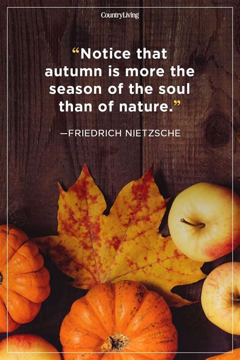 55 Fall Quotes To Remind You Just How Beautiful This Season Is Autumn