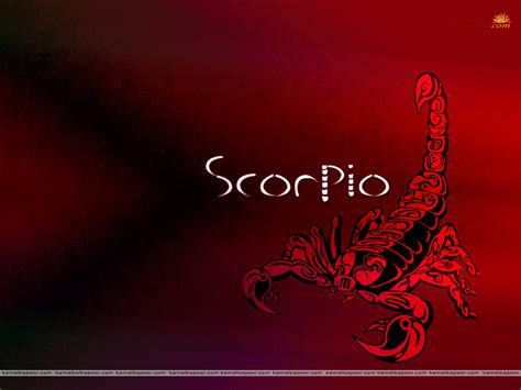 Scorpio 2014 Predictions For The Zodiac Star Sign Scorpiohtml Autos