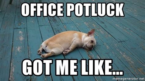 Office Potluck Got Me Like Passed Out Dog Meme