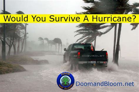 Choosing A Coop Hurricane Survival And Bartering Rules Lpc Survival