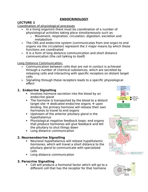 Endocrinology - notes - ENDOCRINOLOGY LECTURE 1 Coordination of