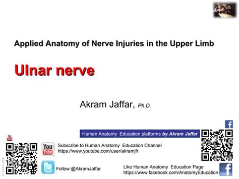 Applied Anatomy Ulnar Nerve Injury Ppt
