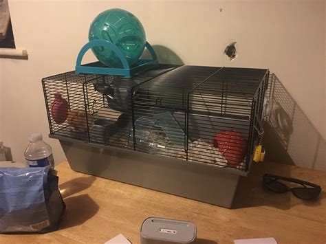 My Friend Just Got This Syrian Hamster And Im Worried The Cage Is Too