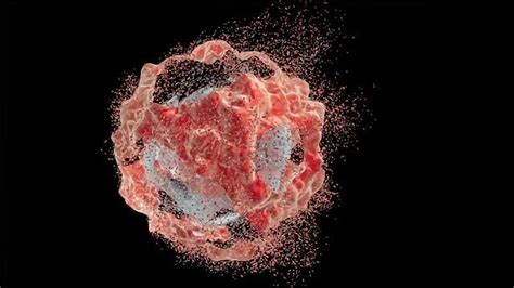 Compound Awakens Cancer Cells Self Destruct System Technology Networks