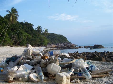 Plastic pollution is the accumulation of plastic objects and particles (e.g. Waste Management in Malaysia: In the Dumps - Clean Malaysia