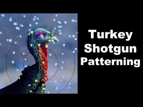 Turkey Shotgun Patterning A Turkey Shotgun Gauge Turkey Loads