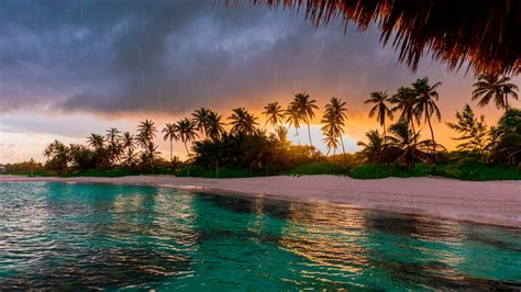 Tropical Beach Theme For Windows 10