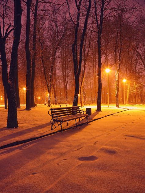 Winter Night Winter Landscape Winter Night Snowy Park Benches Covered