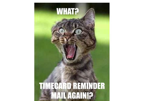 Timesheet Reminder