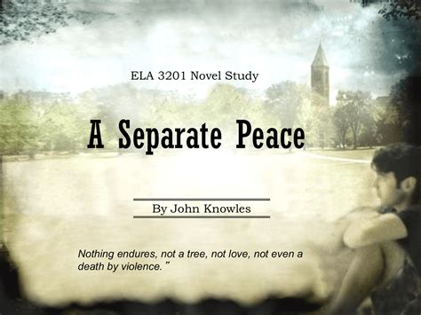 A Separate Peace PPT (Supplementary) -- All Ch