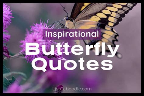 Best Butterfly Quotes And Inspiring Sayings Listcaboodle