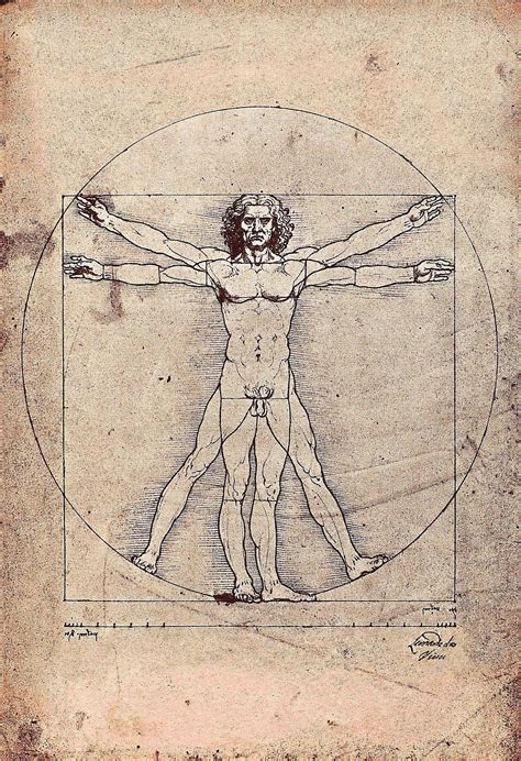 Biography Of Leonardo Da Vinci Inventor And Artist Of The Renaissance Vitruviano Arte