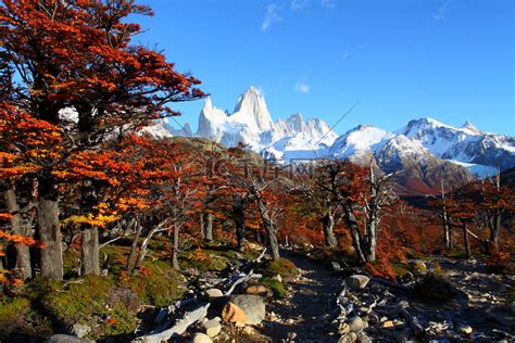 阿根廷巴塔哥尼亚冰川国家公园的菲茨罗伊山美丽自然景观高清摄影大图 千库网