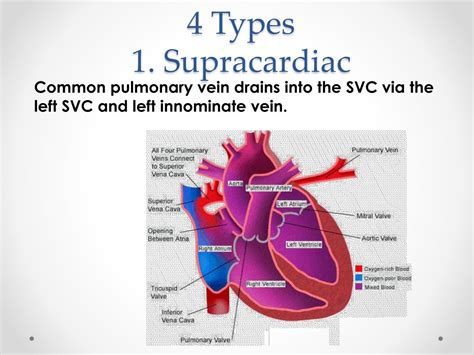 Ppt Cyanotic Heart Lesions Powerpoint Presentation Free Download