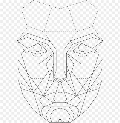 The Golden Ratio In Graphic Perfect Female Face Template Png