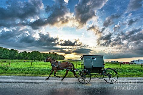 An Amish Buggy In The Early Morning Photograph By David Arment Fine