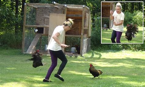 Chickens Attack Owner After She Lets Them Out Of Their Coop For Some