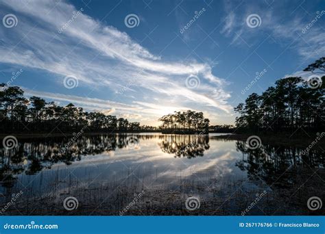 Sunset Cloudscape Over Long Pine Key In Everglades National Park