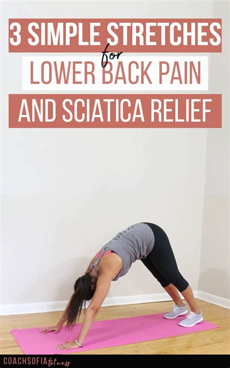 3 Simple Stretches For Lower Back And Sciatica Relief Coach Sofia
