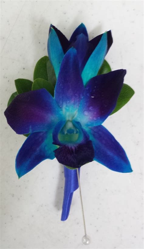 Grande Flowers Tinted Teal Orchid Boutonniere Grande Flowers