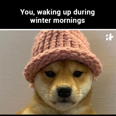 11 Memes People Who Absolutely Hate Mornings Will Totally Get